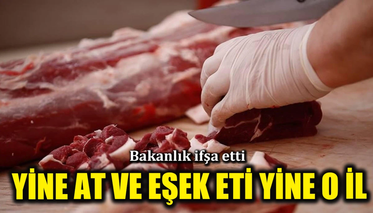 Bakanlık açıkladı! Yine at ve eşek eti, yine o il...