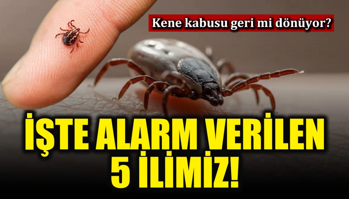 Uzmanlar tehlikedeki şehirleri uyardı: Kene kabusu geri mi dönüyor? Listede hangi iller var?
