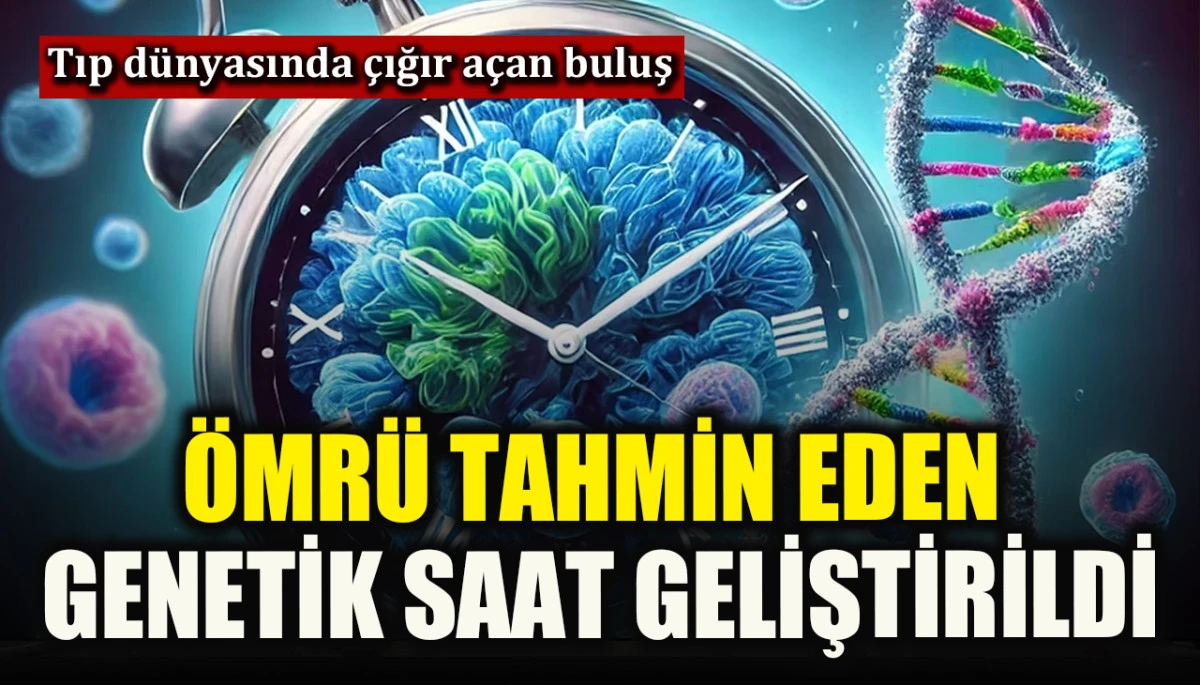 Ömrü tahmin eden genetik saat geliştirildi