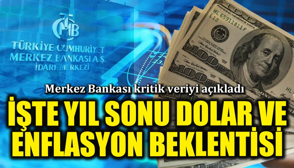 Merkez Bankası'ndan kritik veri! İşte yıl dolar ve enflasyon beklentisi
