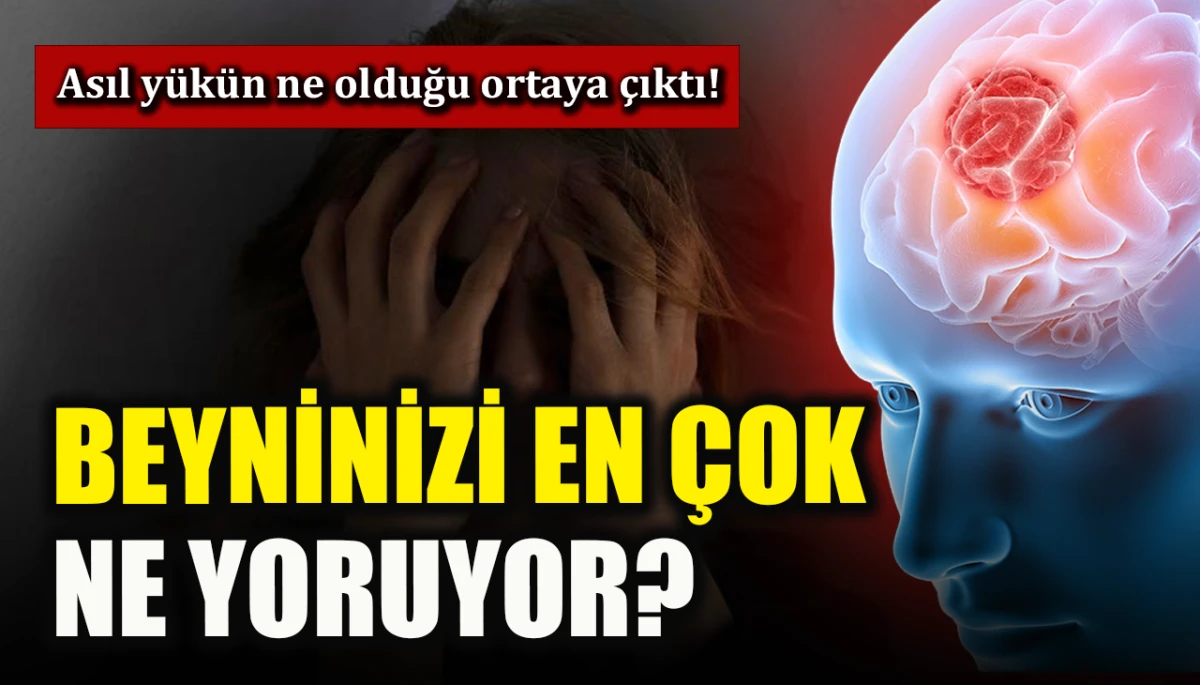 Beyninizi en çok ne yoruyor? Asıl yükün ne olduğu ortaya çıktı!