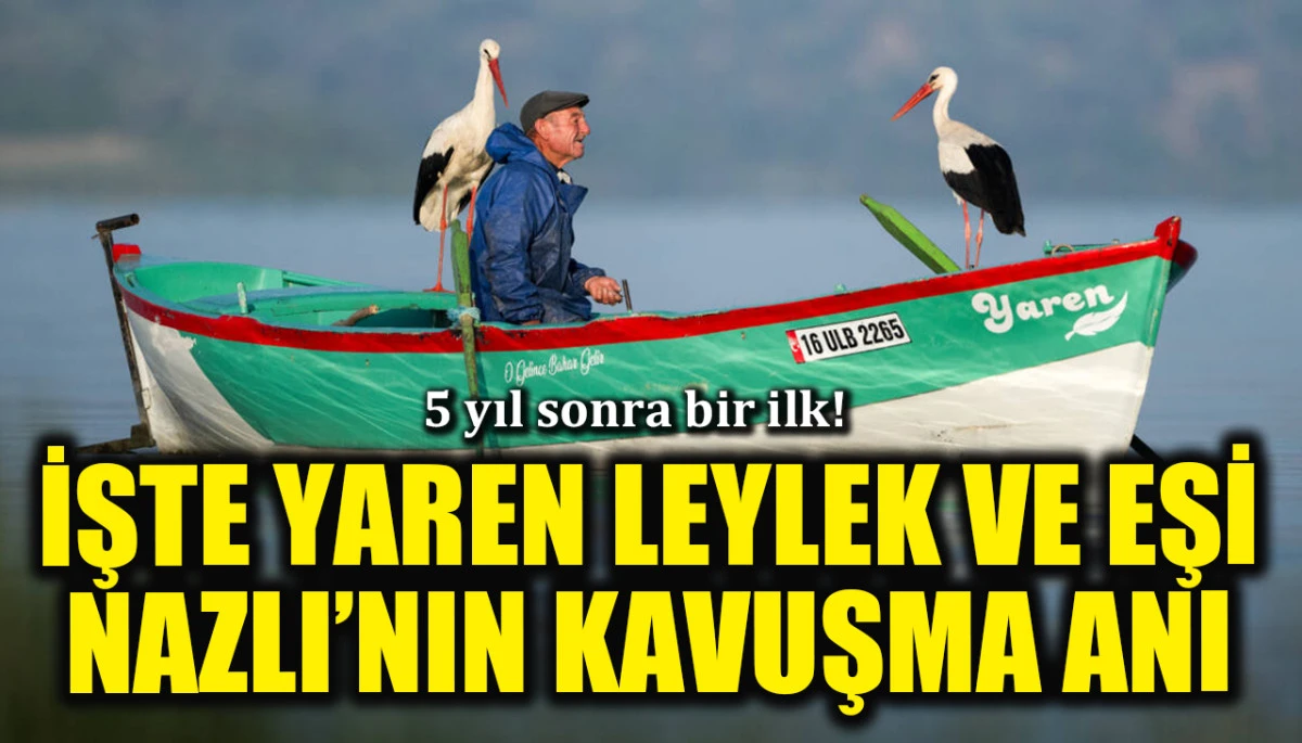 5 yıl sonra bir ilk! Yaren leylek ve eşi Nazlı'nın kavuşma anı görüntülendi