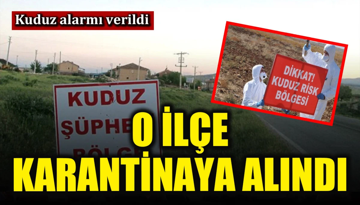 Van Edremit’te kuduz alarmı! Karantinaya alındı