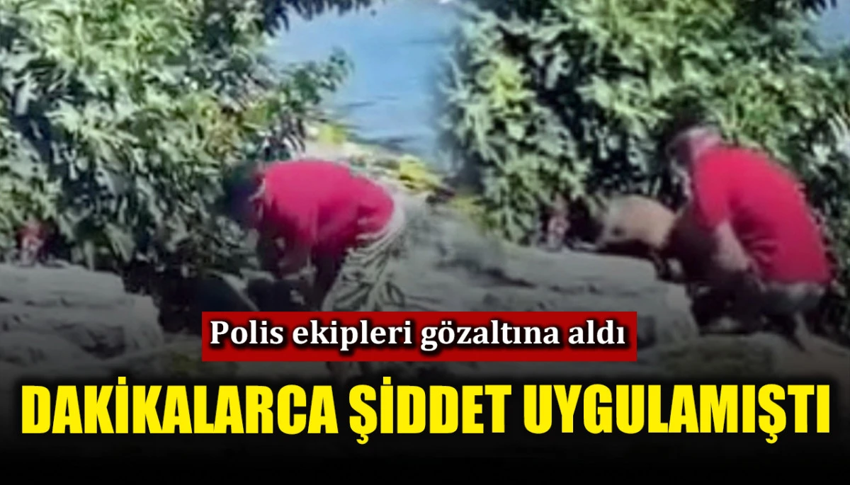 Dakikalarca köpeğe şiddet uygulayan şüpheli gözaltına alındı