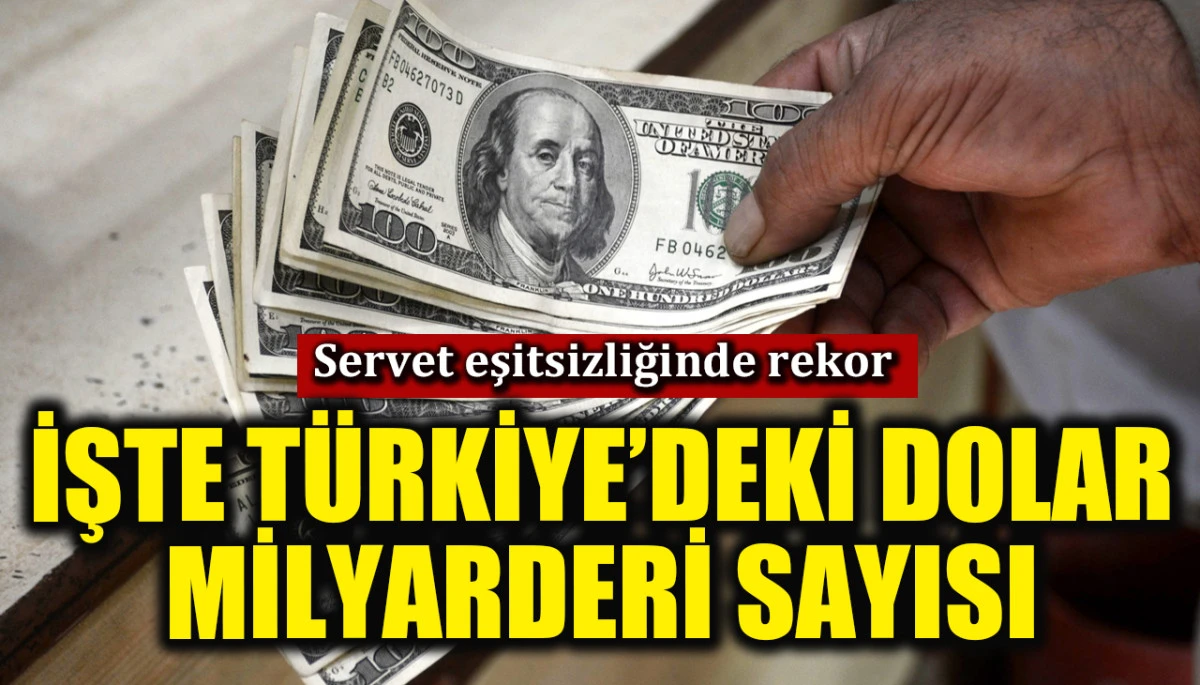 Servet eşitsizliğinde rekor! Türkiye'deki doları milyoneri sayısı şoke etti