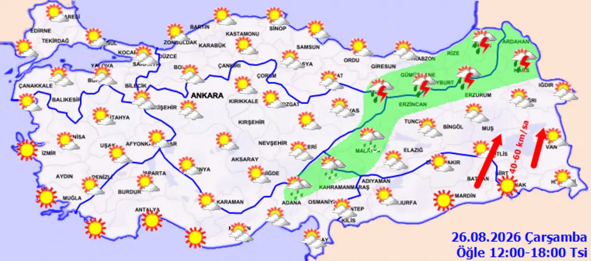 1200xauto-011356