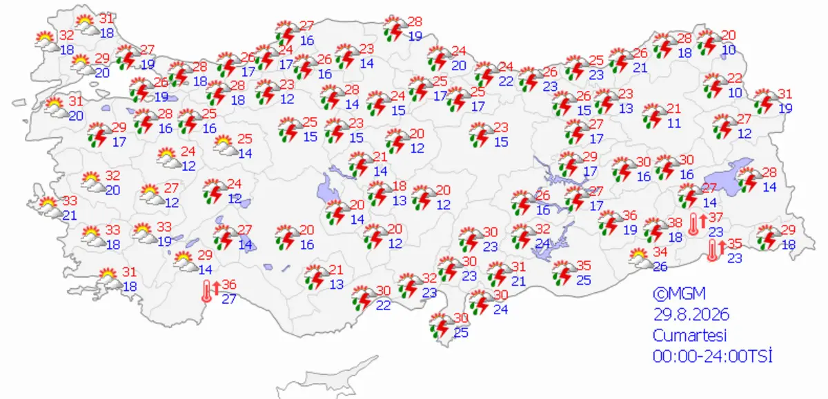 1200xauto-2-011355
