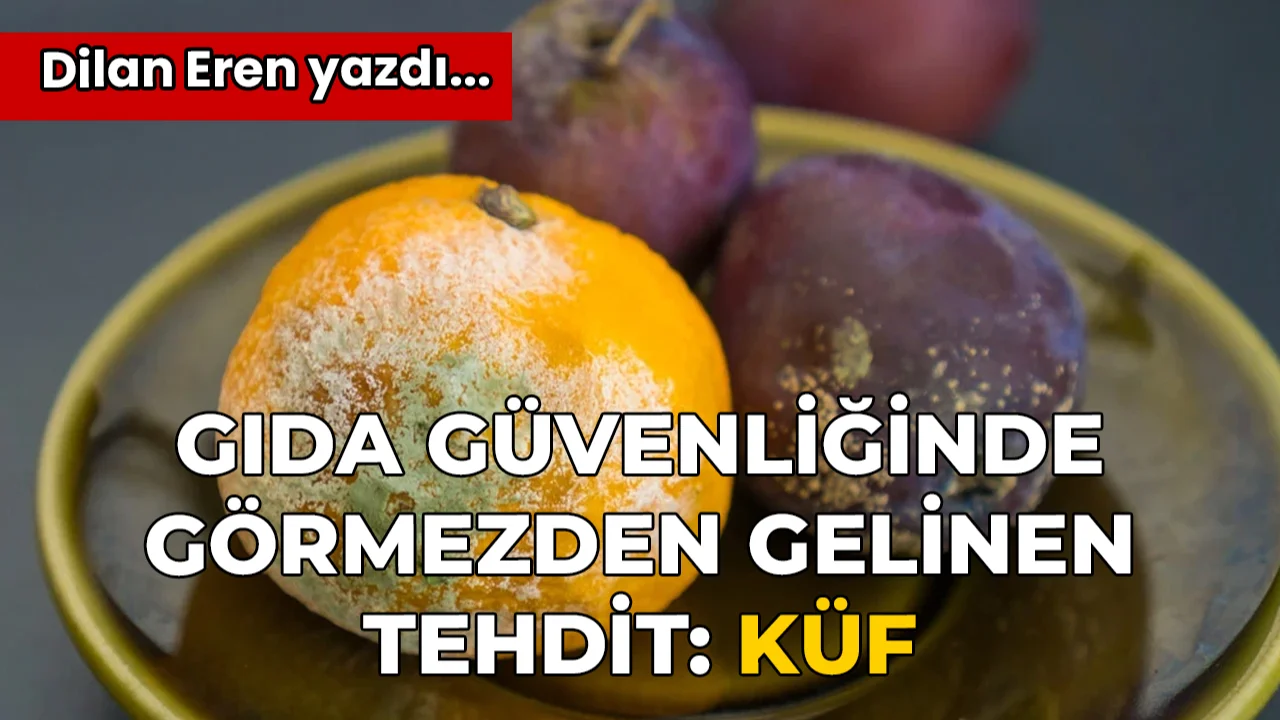 Küf: Gıda Güvenliğinde Görmezden Gelinen Tehdit