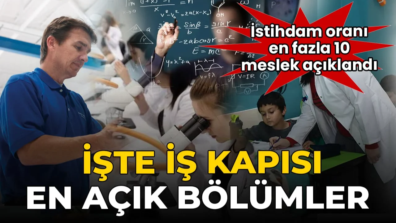 İşte istihdam oranı en fazla 10 meslek...