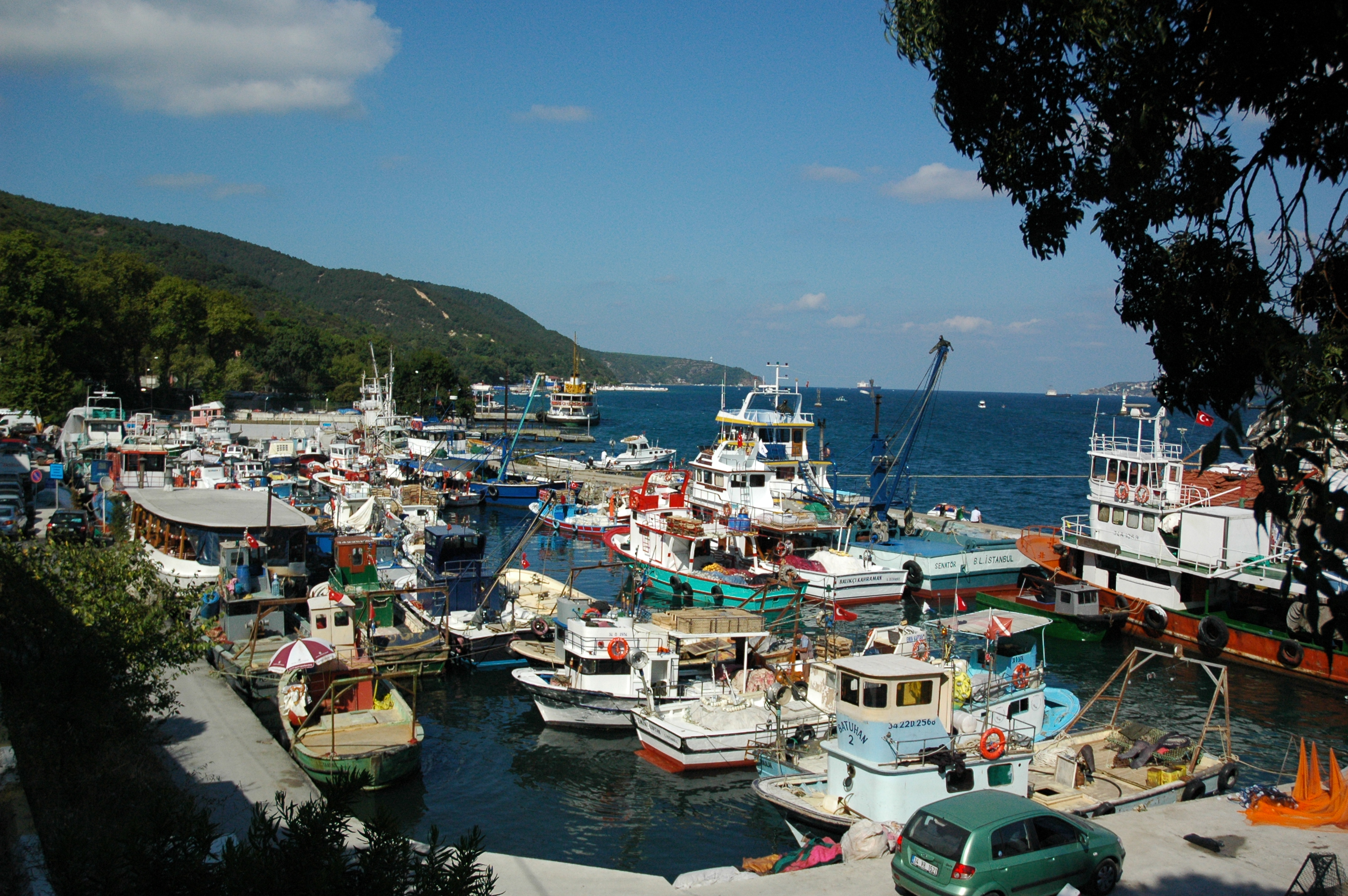 rumelikavac49fc4b1-marina-102415
