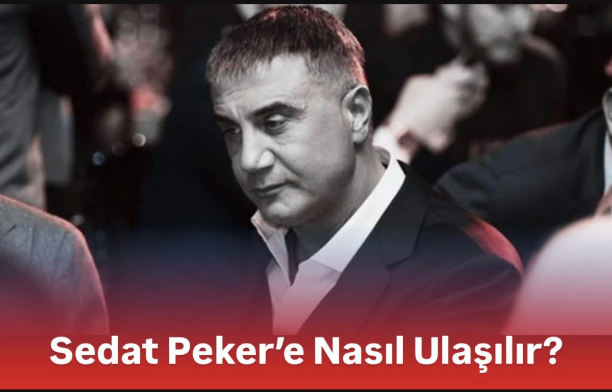 Sedat Peker’e Ulaşmak İçin En Aktif Platformlar Hangileri?