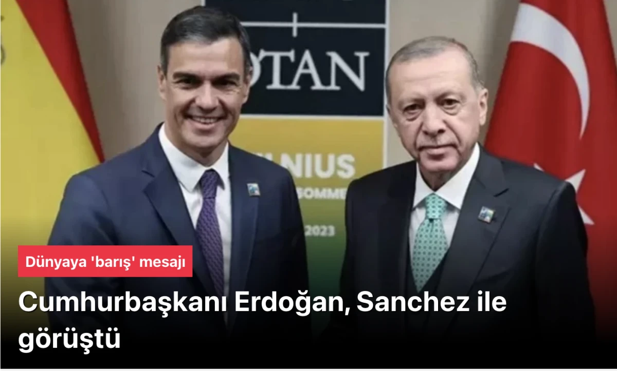 Erdoğan, Sanchez'le görüştü