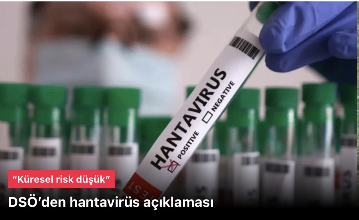 DSÖ hantavirüs duyurusu: Küresel risk düşük