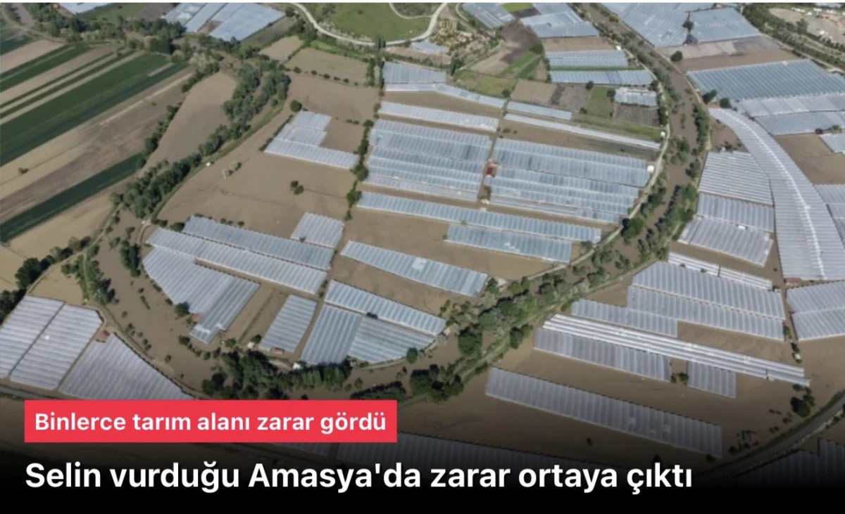 Amasya Valiliği açıkladı: Taşkınlardan 5 bin 850 dekar tarım alanı zarar gördü