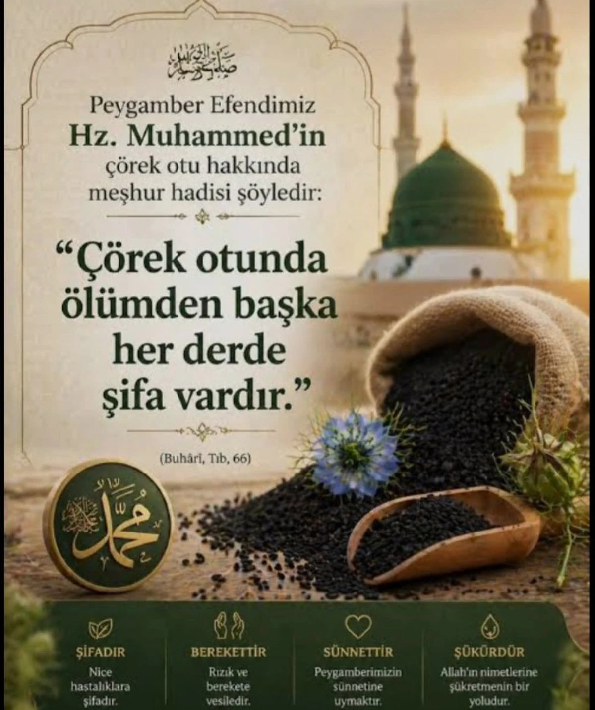 "Toplumsal Sağlığa Faydalı Ürünlerin Dindeki Yeri"