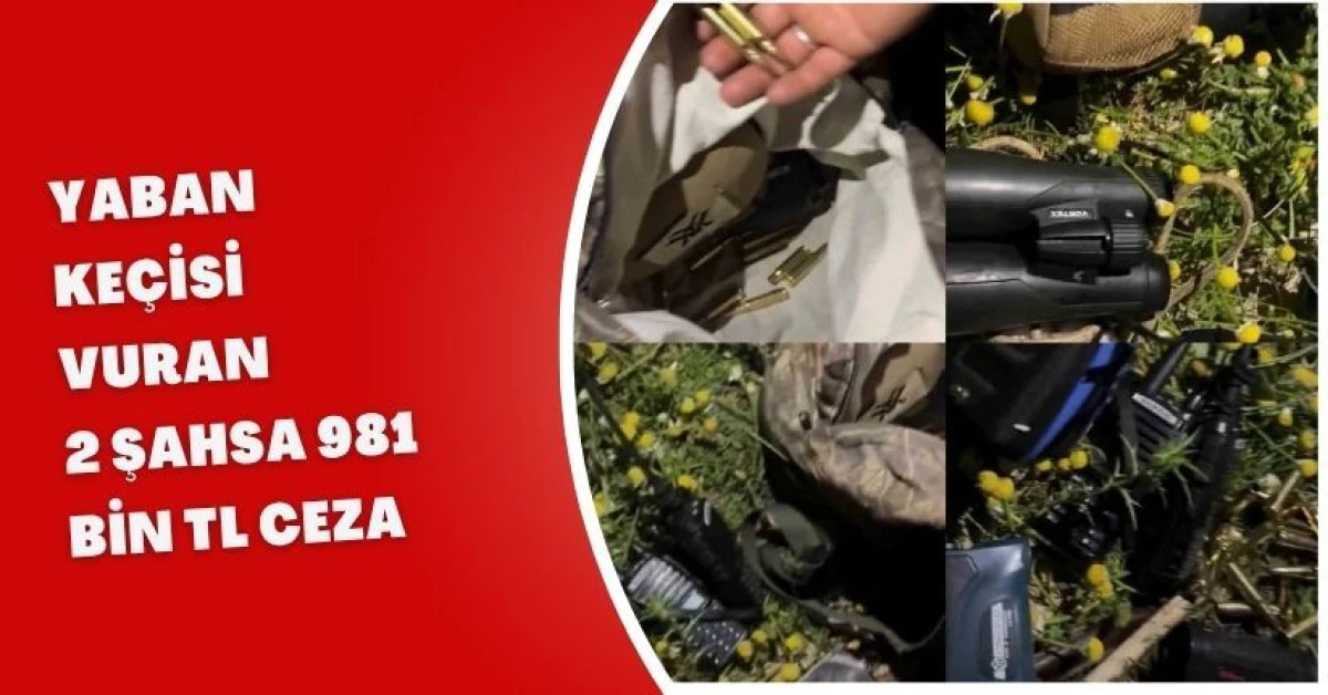 Mersin yaban keçisi avına 981 bin lira ceza olayıyla şokta