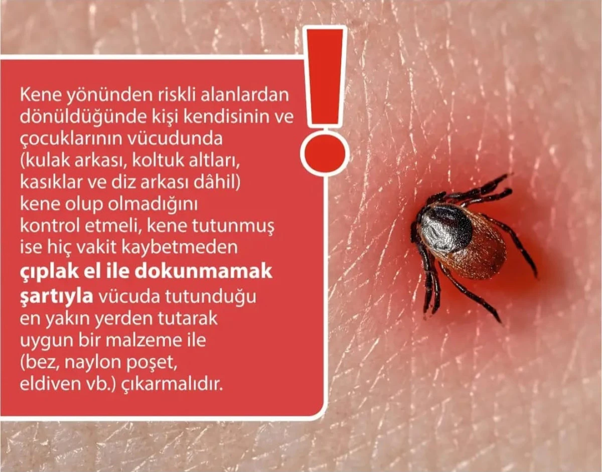 Zeynep MERÇAN: Kene Alarmı!