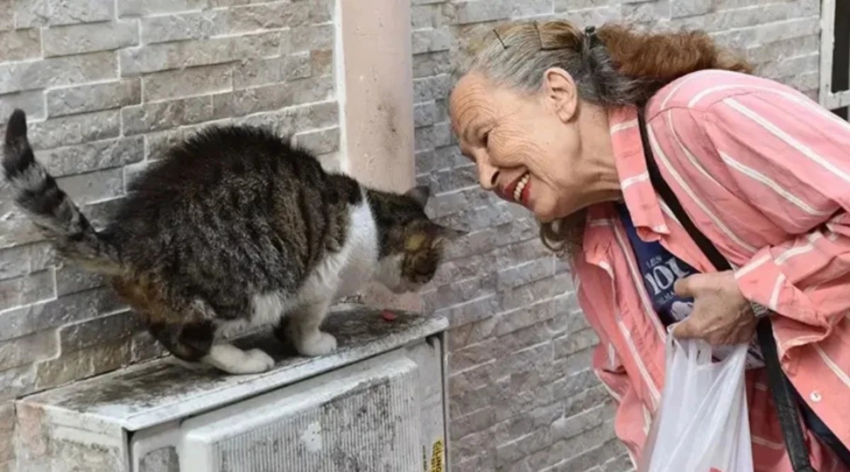 “Panter Emel” Lakaplı Emel Yıldız Hayatını Kaybetti