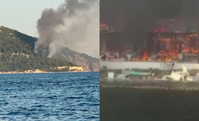 Viranbağ Plajı Yangın paniği: Büyükada'da yangın çıktı