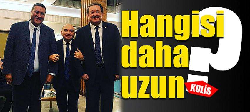 Hangisi daha uzun?