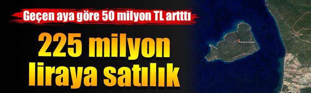 225 milyon liraya satılık 