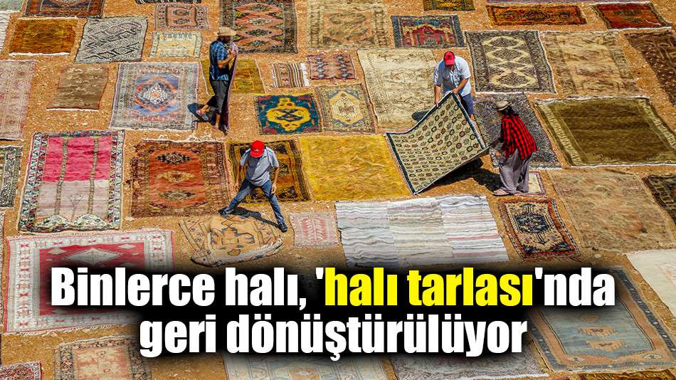 Binlerce halı, 'halı tarlası'nda geri dönüştürülüyor