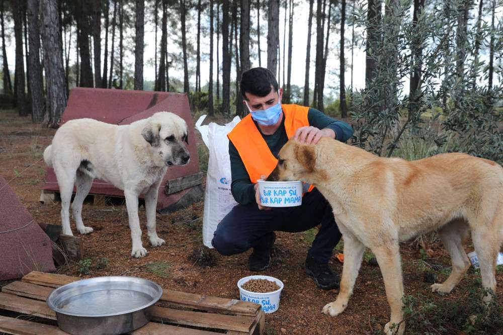 Can dostlar soğuk havalarda unutulmadı