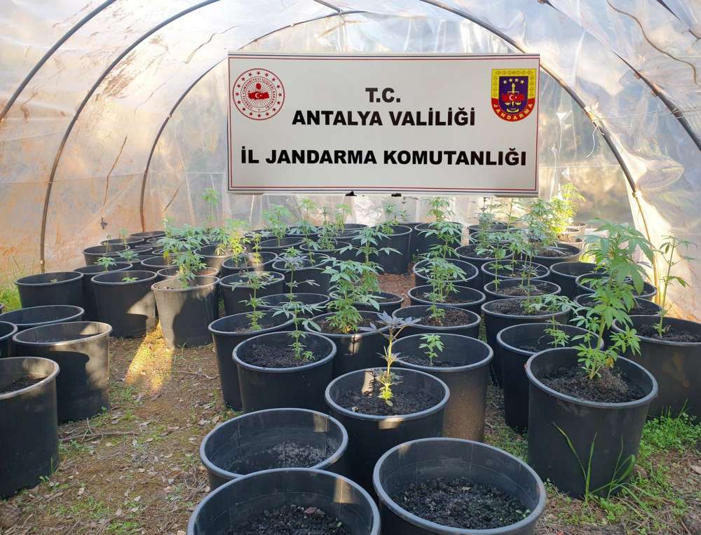 'Uyuşturucu serası'na jandarma baskını