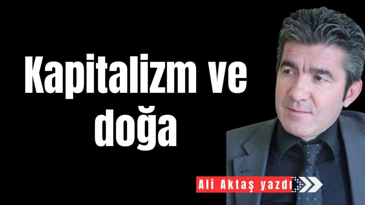 Kapitalizm ve doğa