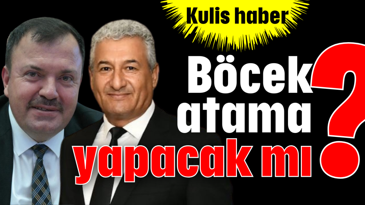 Böcek atama yapacak mı?
