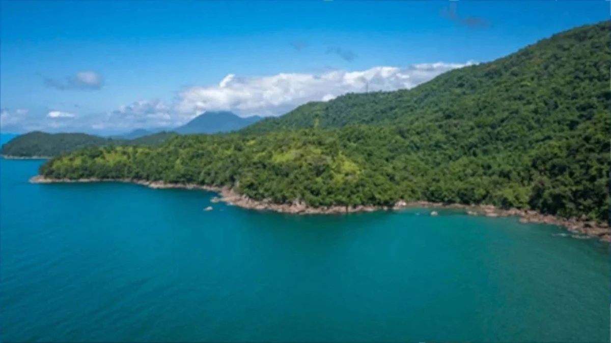 Deniz tarafındaki ormanlık alanlar turizme açıldı  