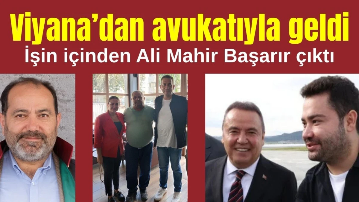 Gökhan Böcek Viyana'dan Antalya'ya avukatıyla geldi! İşin içinden Ali Mahir Başarır çıktı  