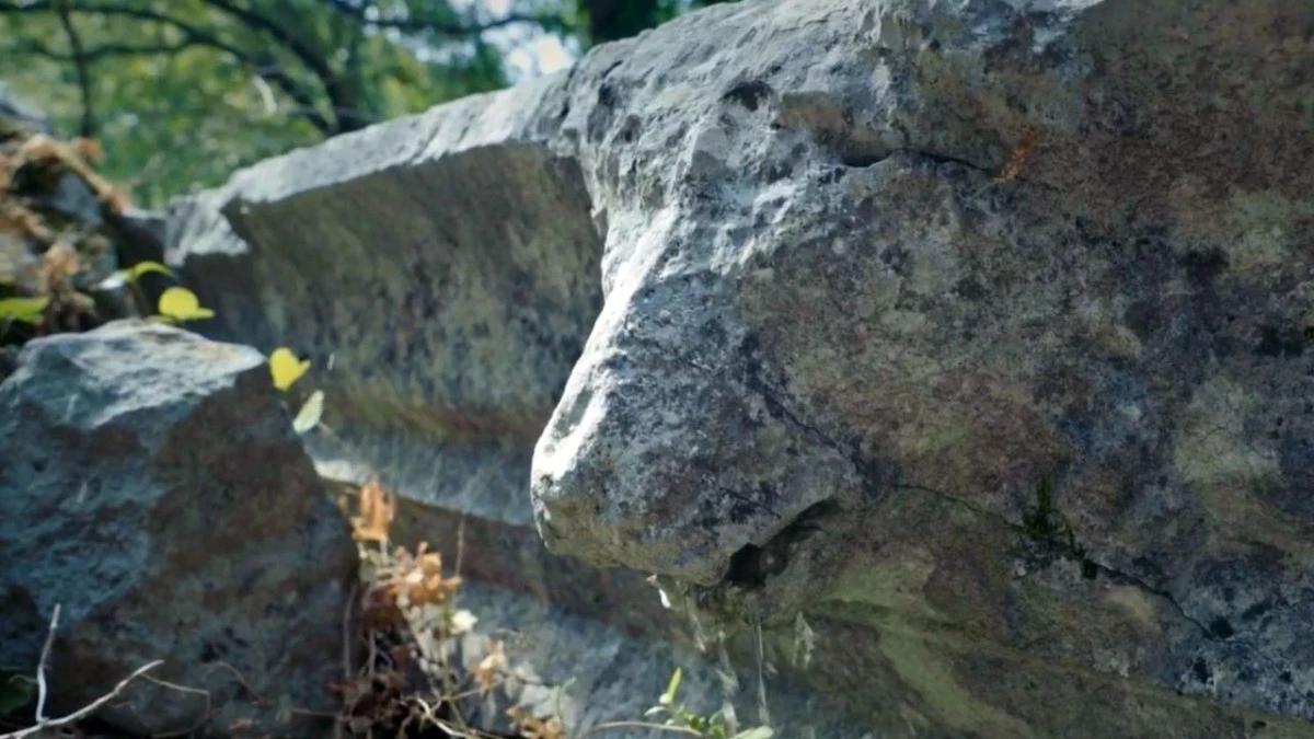 Termessos’ta 2 bin yıllık miras kırıldı