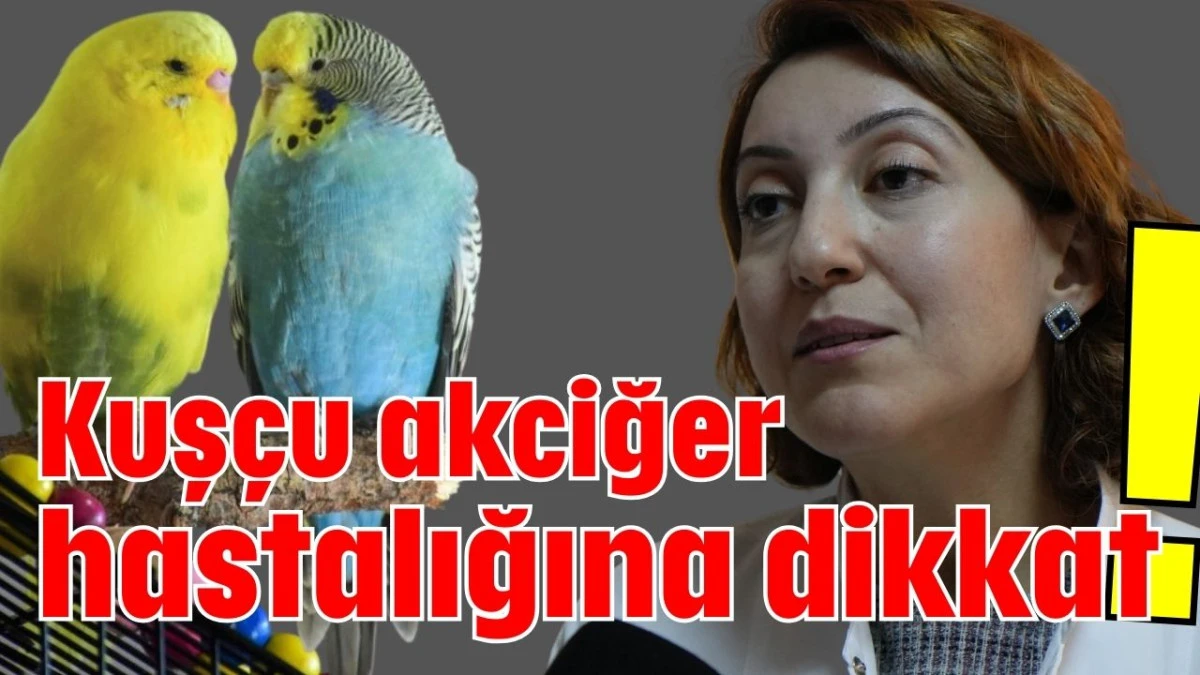 Kuşçu akciğer hastalığına dikkat!