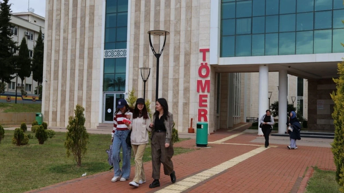 Yabancılara çevrim içi uygulamayla Türkçe öğretimi 