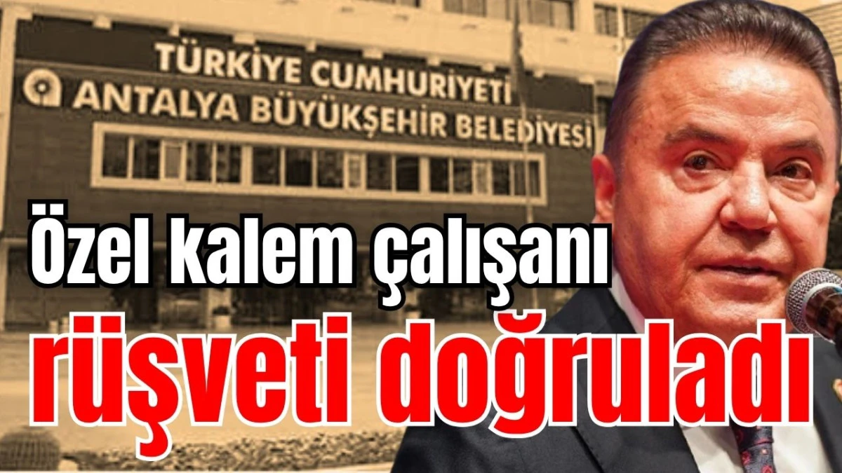 Muhittin Böcek’in özel kalem çalışanı rüşveti doğruladı