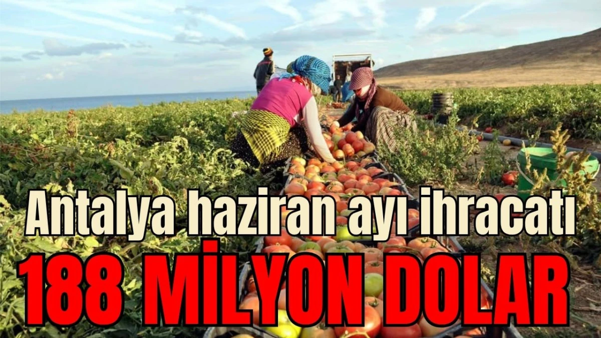 Antalya haziran ayı ihracatı 188 milyon dolar