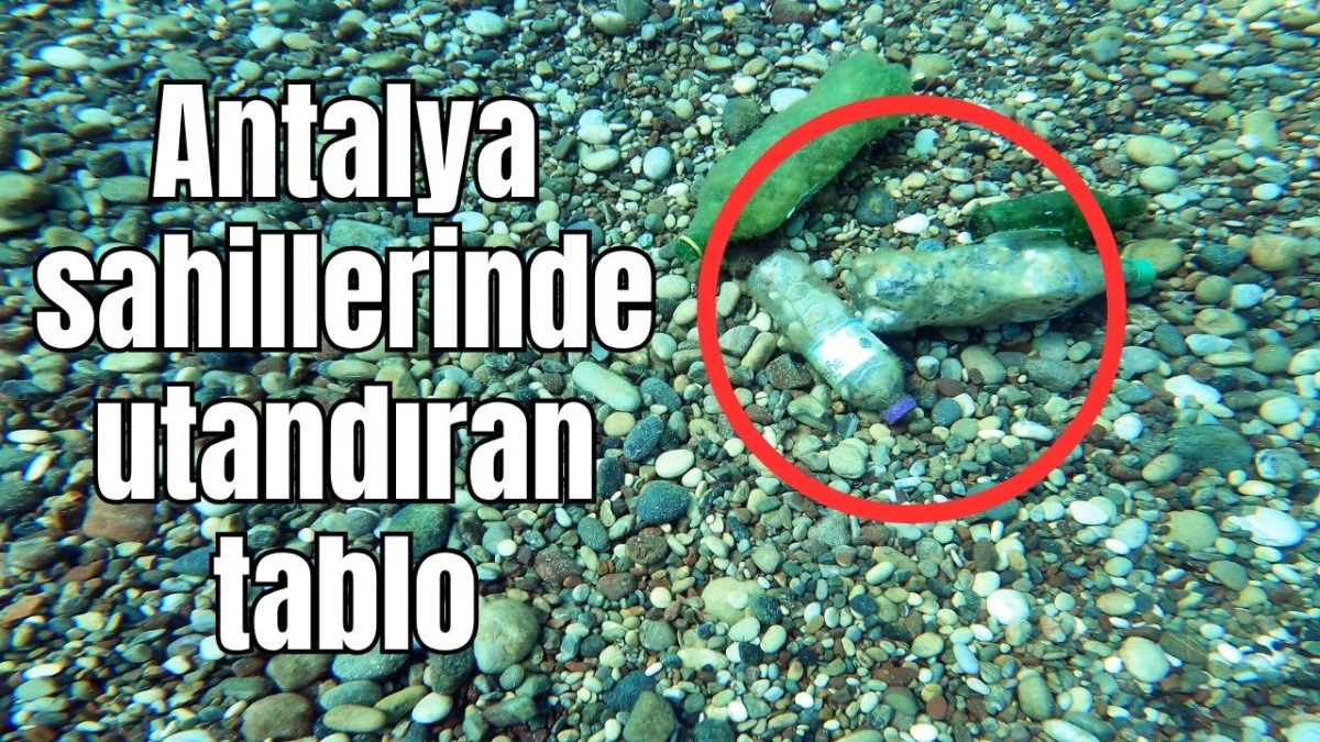 Antalya sahillerinde utandıran tablo