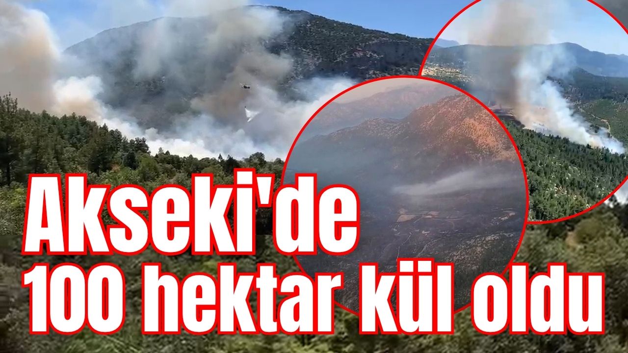 Akseki'de 100 hektar kül oldu 
