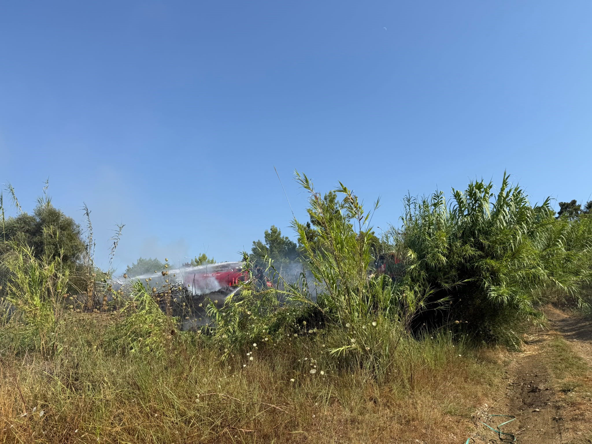 aw75068202-091425