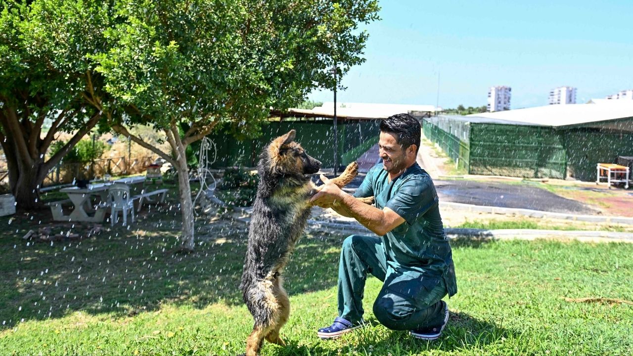 Muratpaşa’dan patili dostlara serin dokunuş