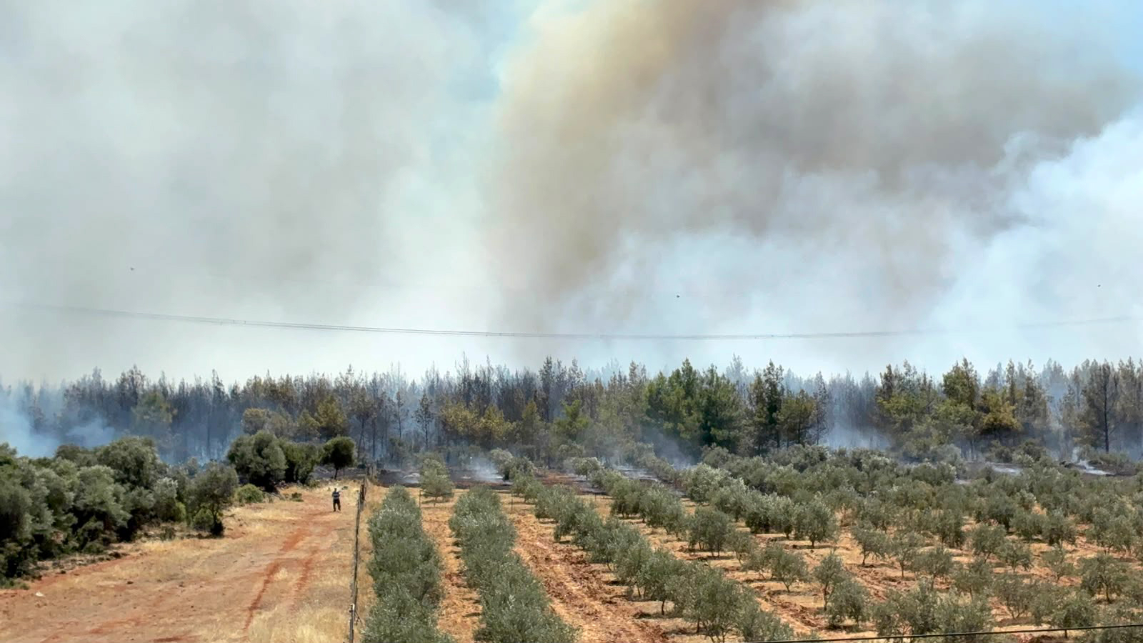 antalyada-orman-yangini-ek-fotografla1423329423053-031119