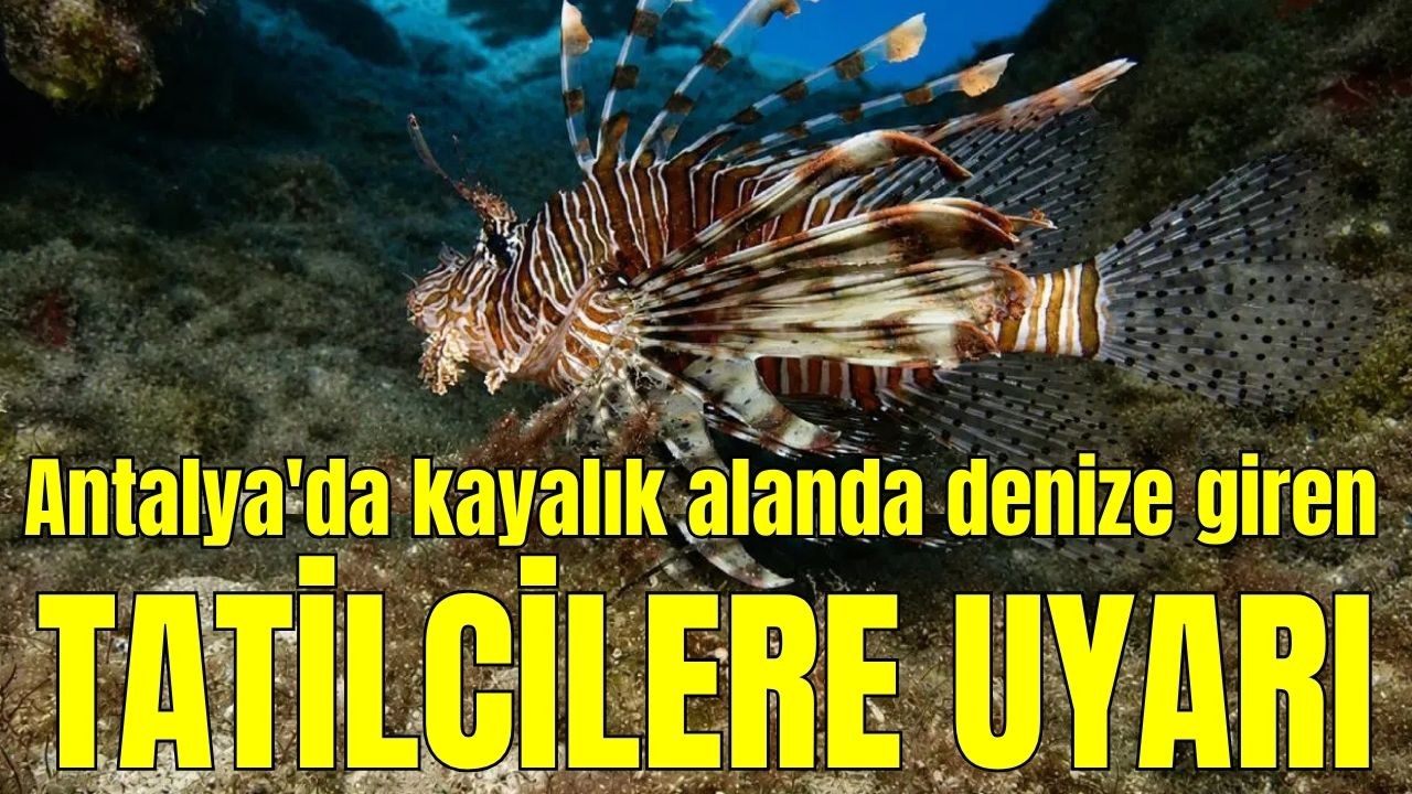 Antalya'da kayalık alanda denize giren tatilcilere uyarı!