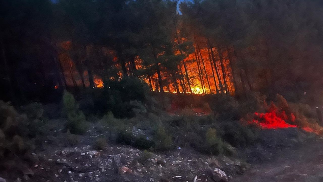 Alanya’da orman yangını paniği