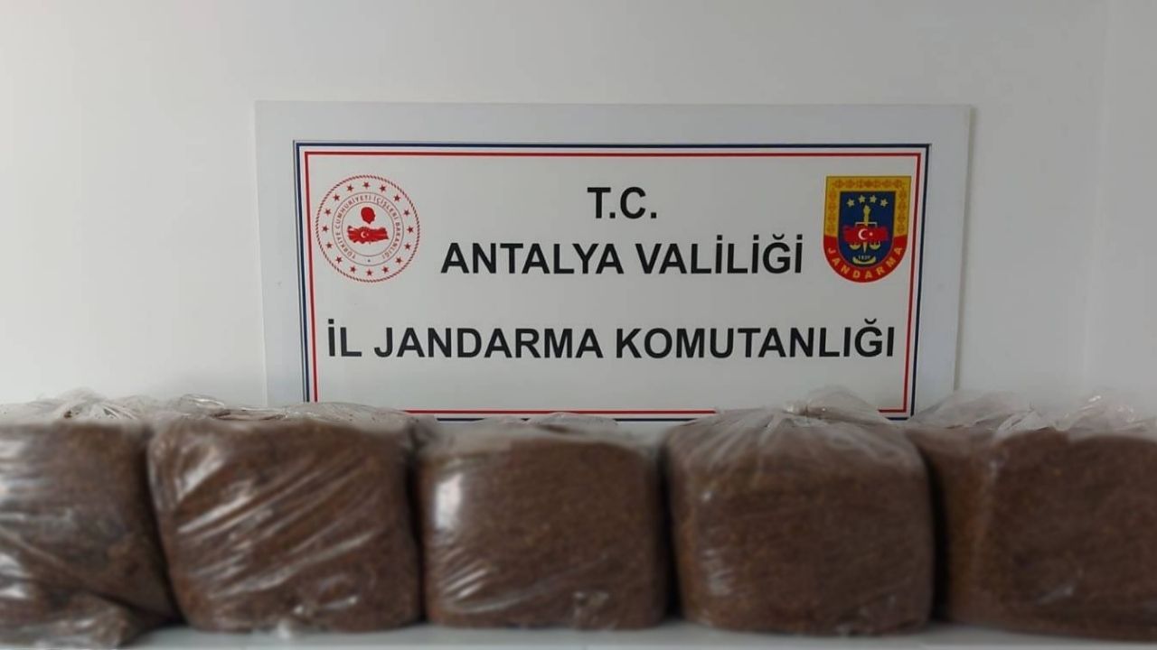 Alanya ve Demre'de 285 kilo kaçak tütün ele geçirildi