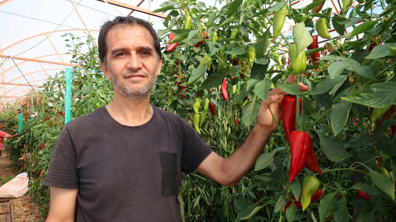Büyükşehir’in enerji desteği ile Antalya tarımı kazanıyor