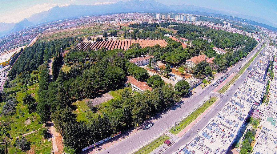 temiz-hava-bol-oksijen-042954