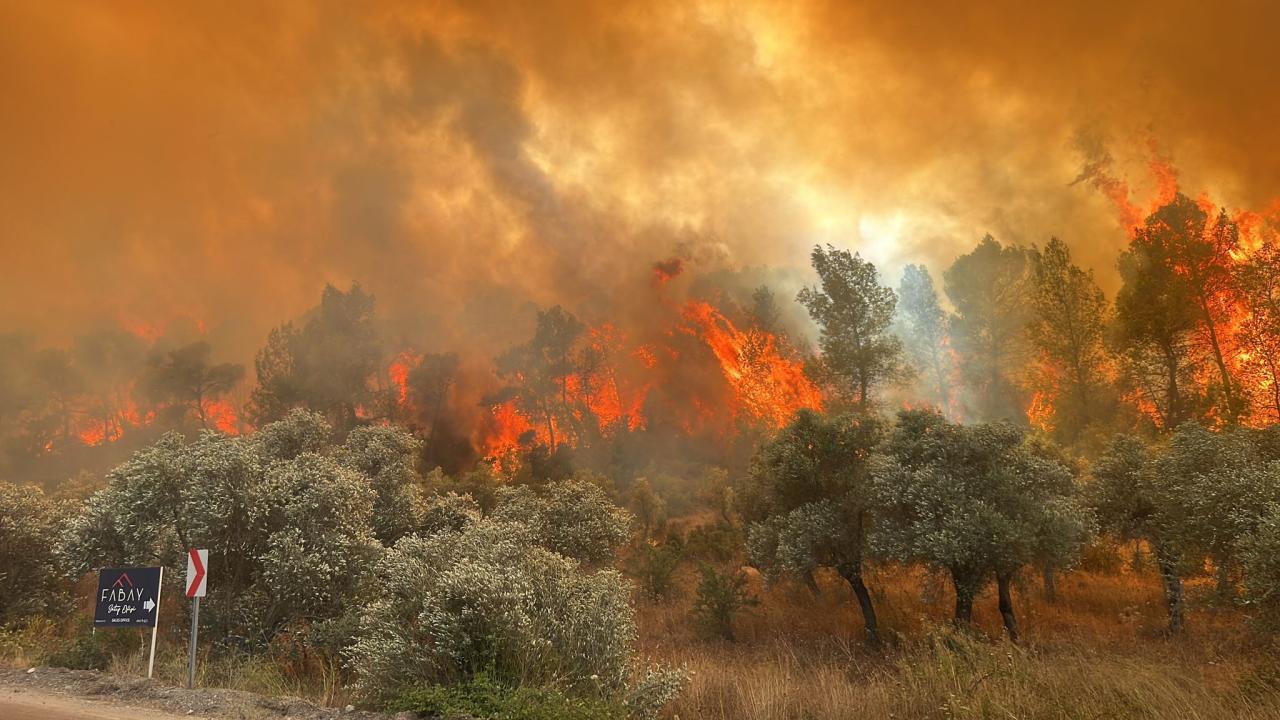 mugla-orman-yangini-a-2076030-095006
