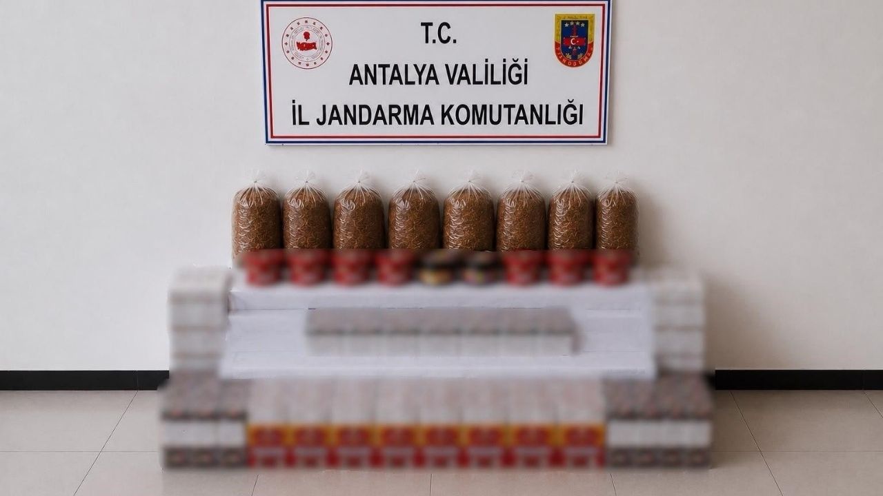 Manavgat'ta kaçak tütün operasyonu
