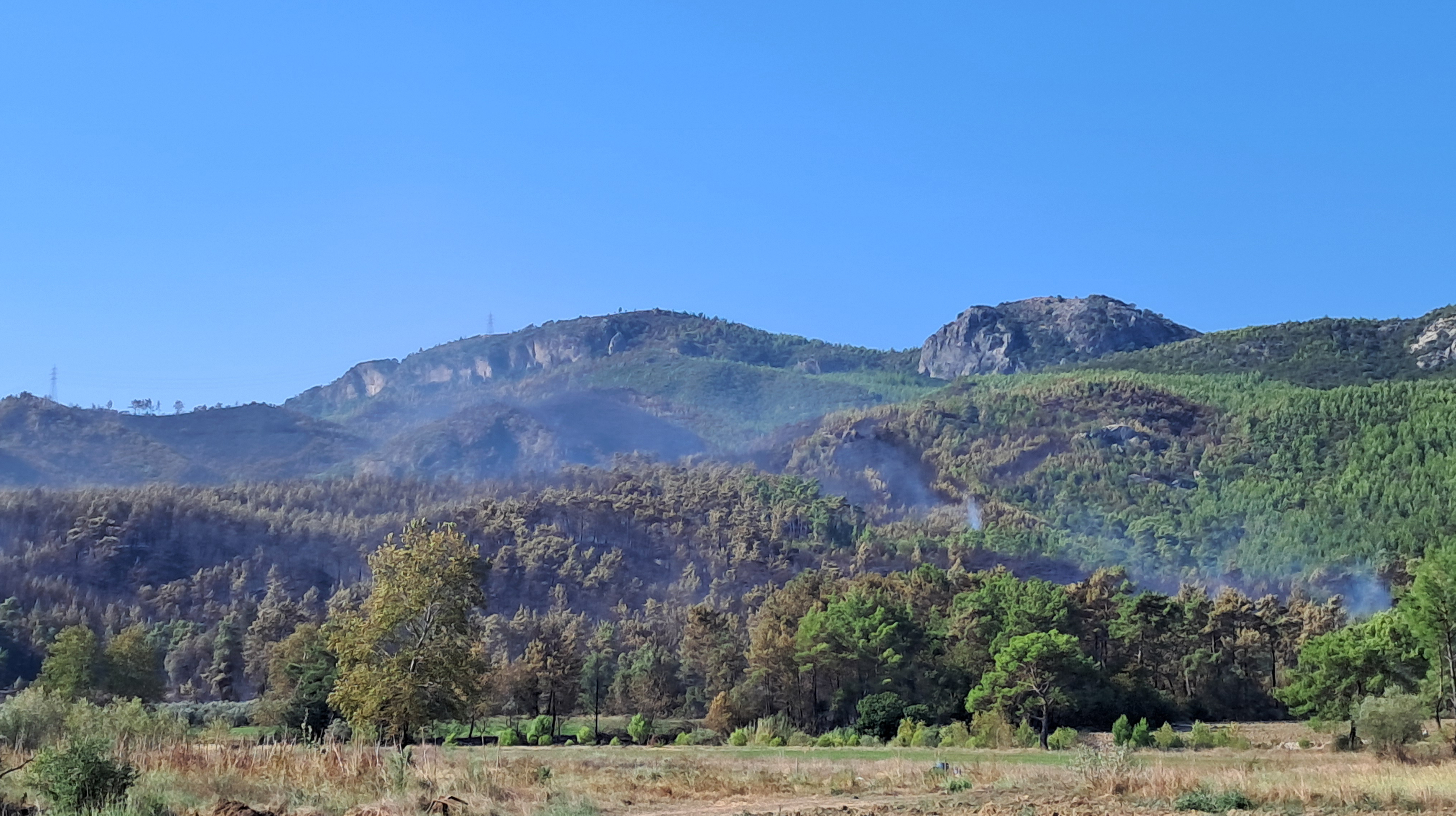 antalya-serikteki-orman-yangini-kismen-1493618444335-103207